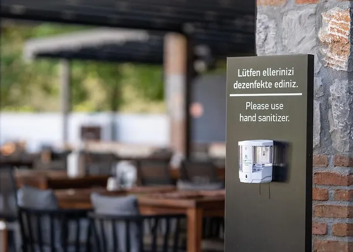 ماجيستيك أولدينيس