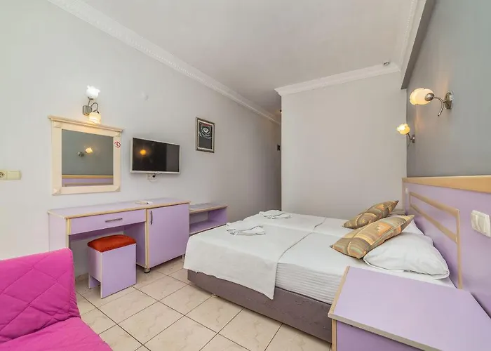 فندق ماجيستيك 3*