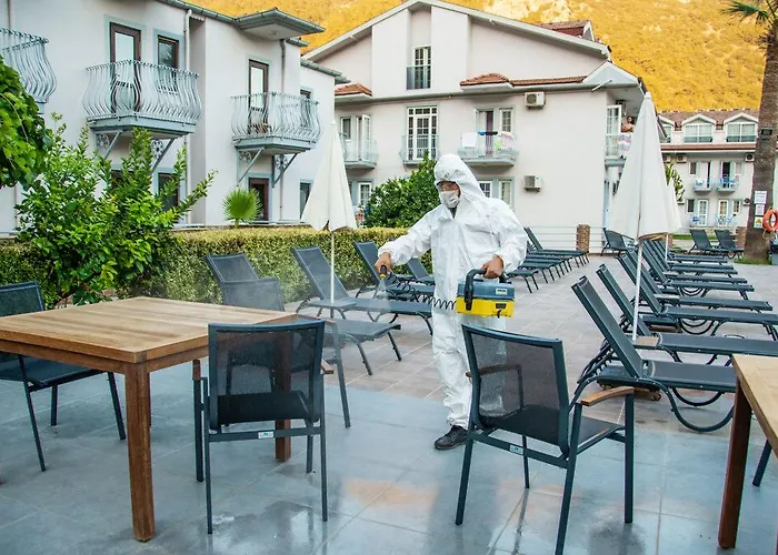 ماجيستيك فندق